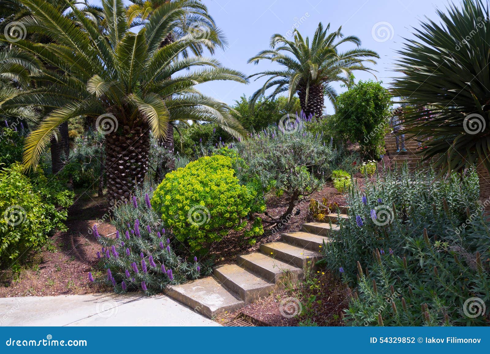 Botanical Garden of Barcelona, Spain Editorial Photography Image of