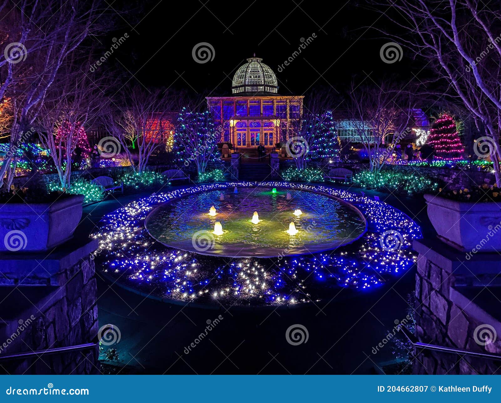 botanical garden lit bright for the holiday
