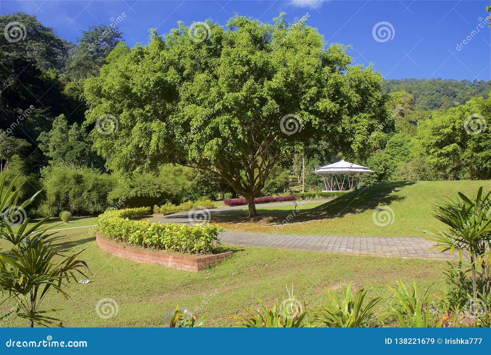 Botanical Gardens In Penang Malaysia Stock Image Image Of