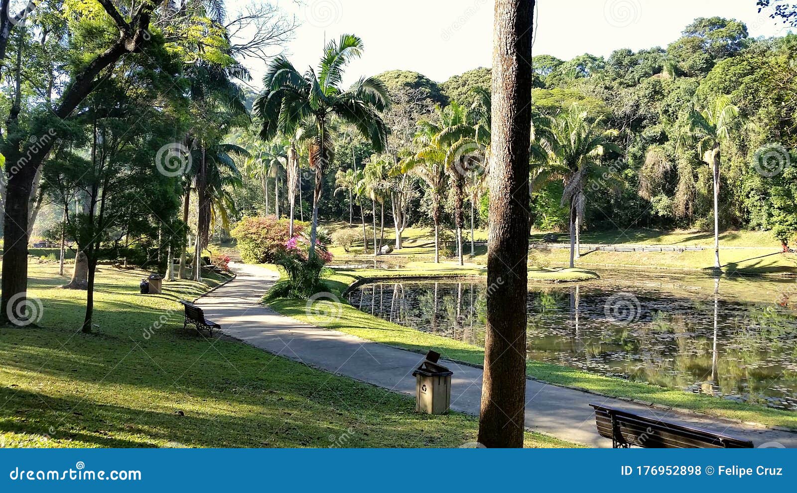 walking paths by the artificial lake in the botanical garden of sao paulo.