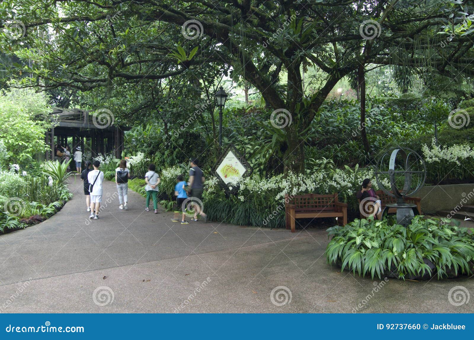 501 Botanical People Singapore Photos Free Royalty Free Stock Photos From Dreamstime