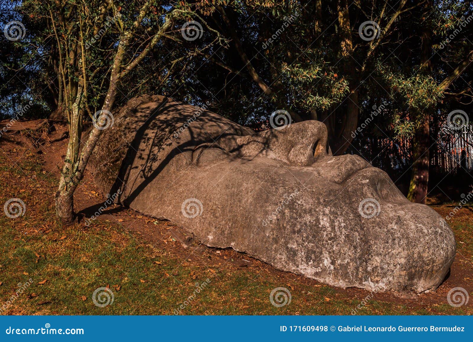 Botanical Garden Tabio Cundinamarca Colombia Editorial Stock