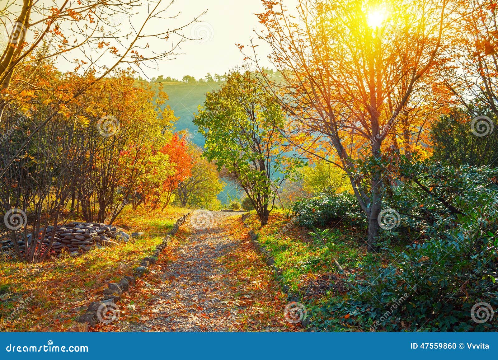 Botanical Garden In Tbilisi Stock Photo Image Of Orange Stone