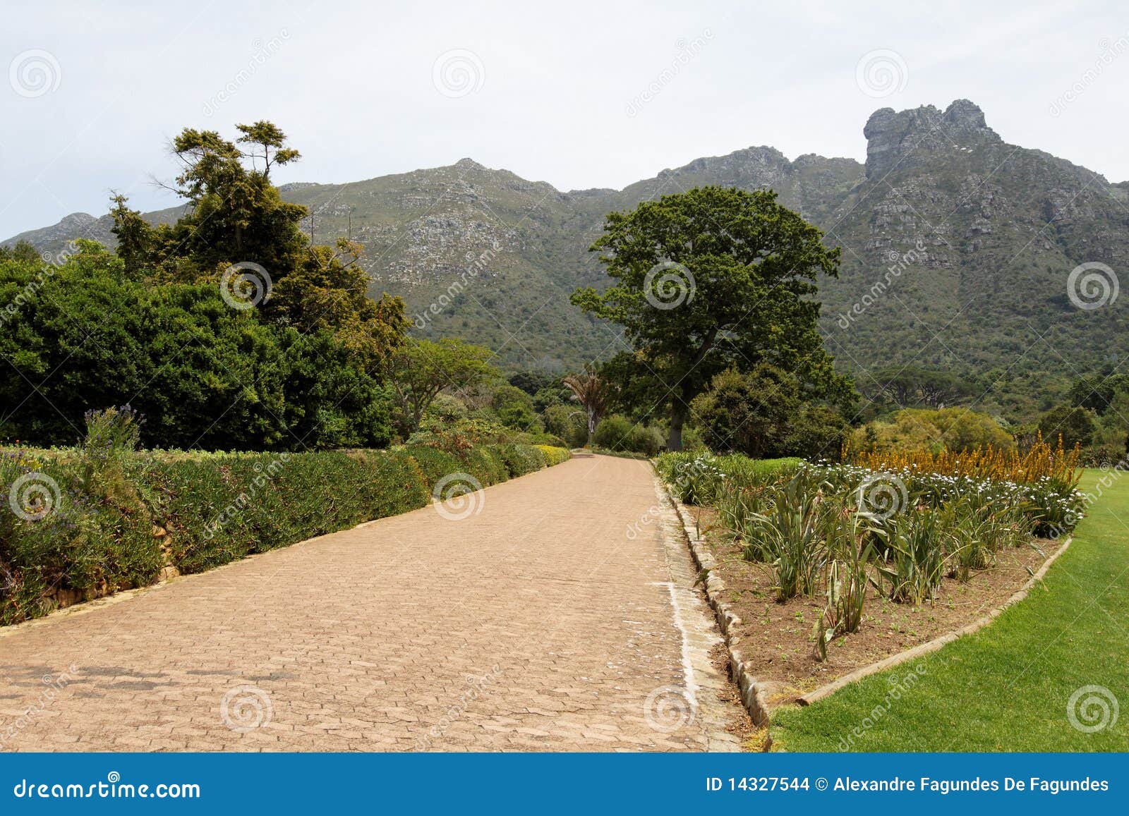 Botanical Gardens Cape Town Stock Photo Image of table, holiday 14327544
