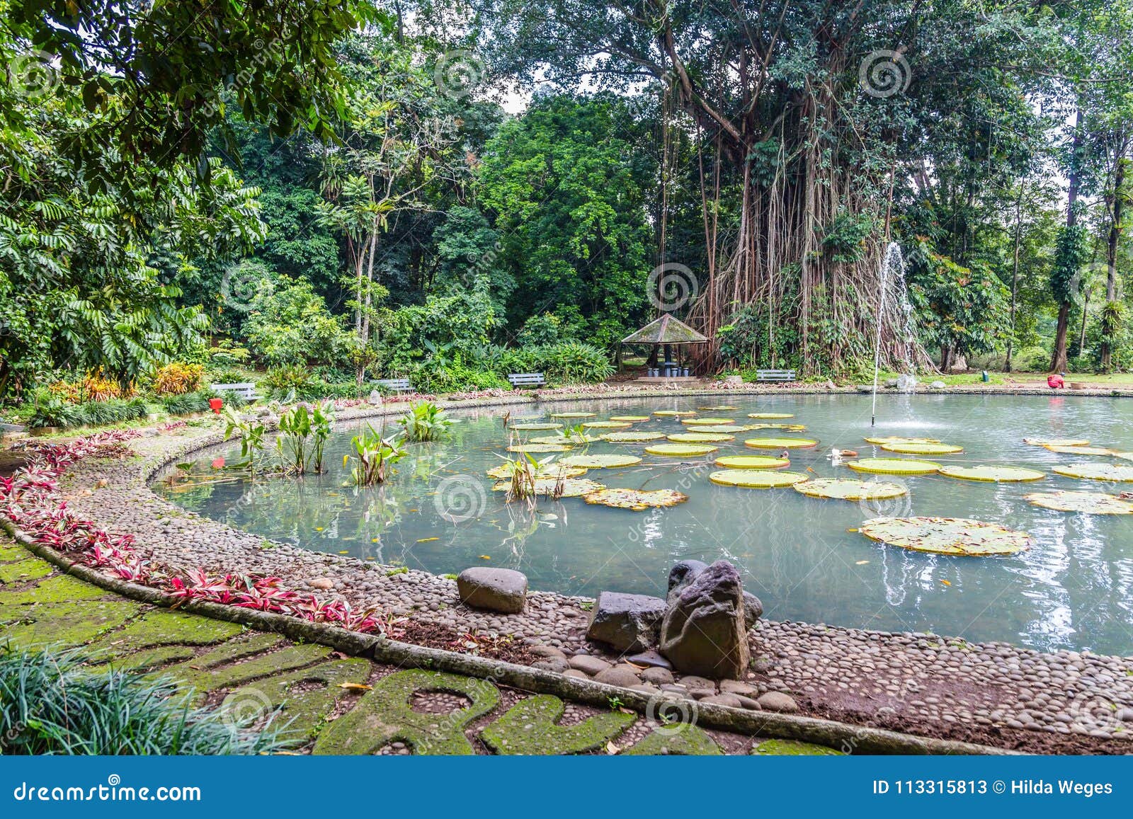 3 549 Bogor Photos Free Royalty Free Stock Photos From Dreamstime