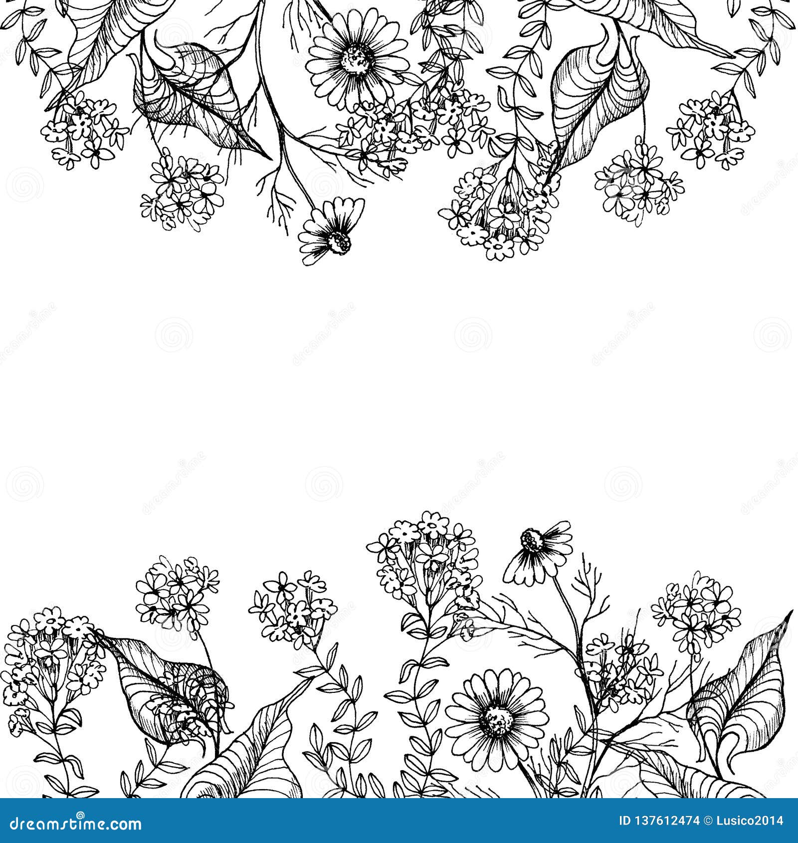 botanical monochrom frame with wild flowers.