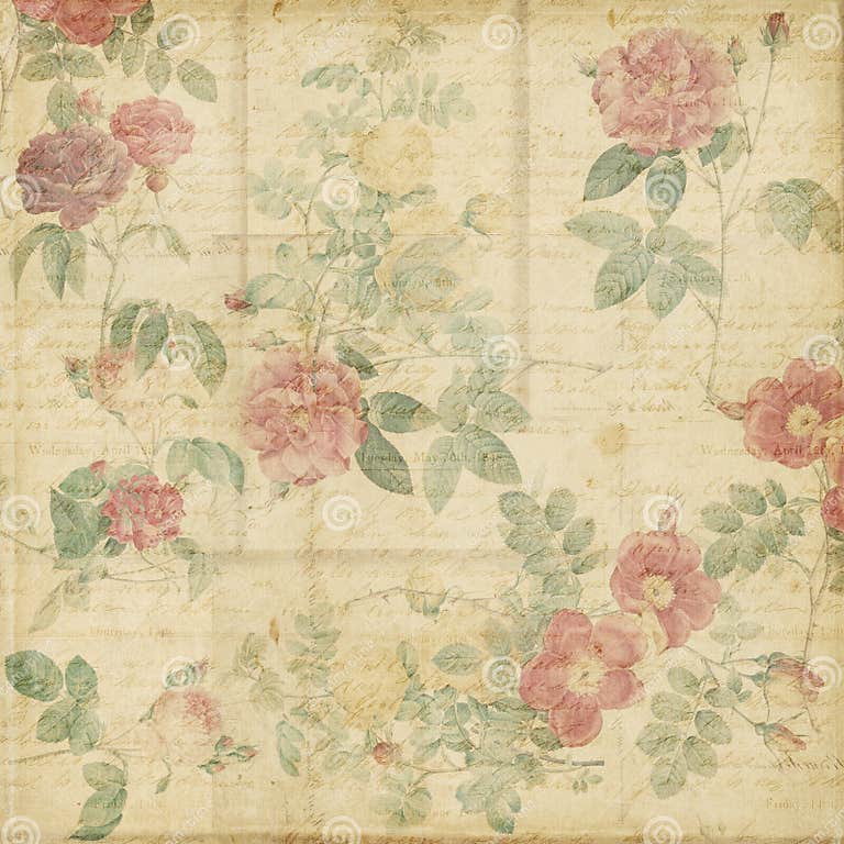 Botanical Vintage Roses Shabby Chic Background Stock Illustration ...