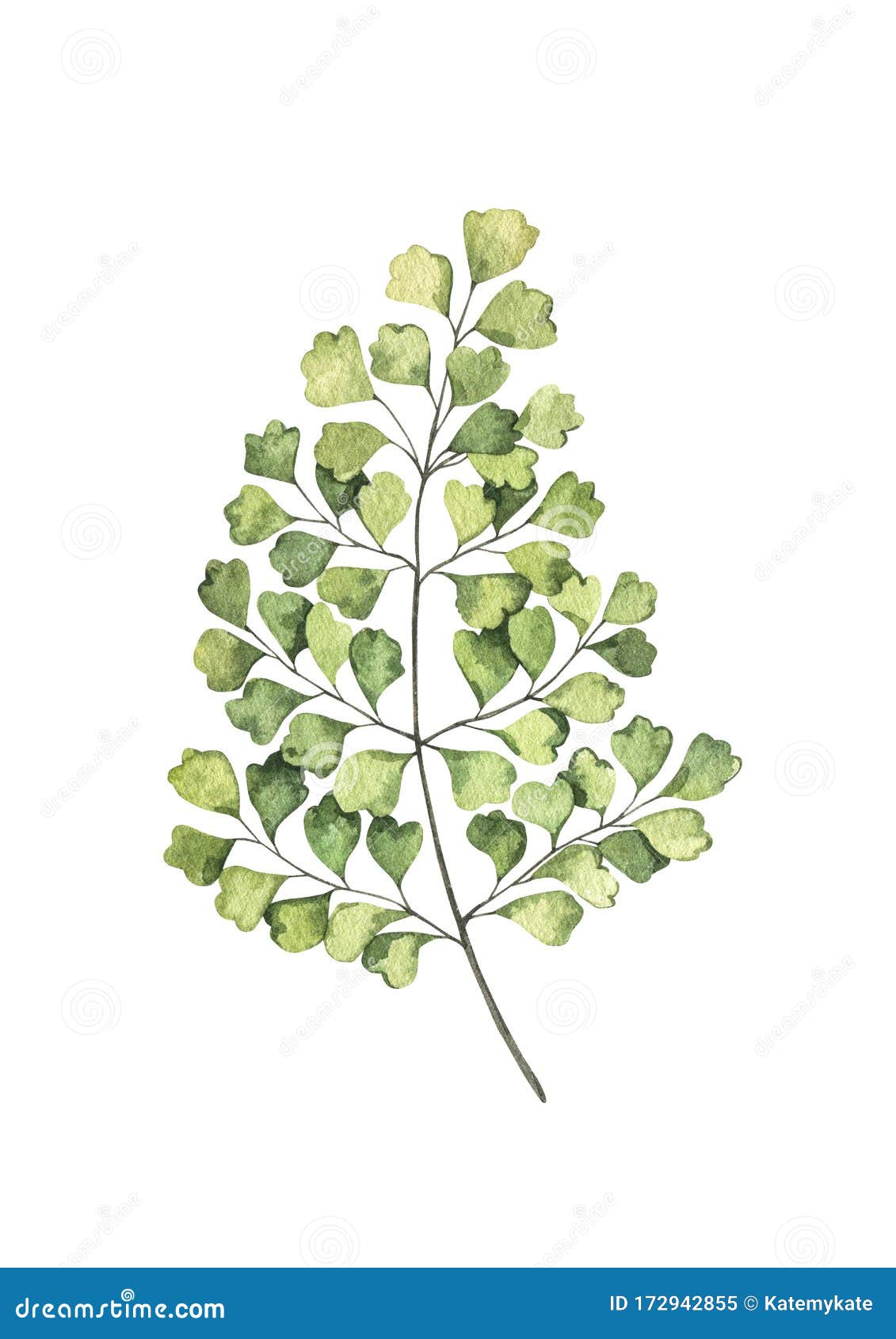 Download Botanical Watercolor Clipart Green Fern With Greenery Leaves Poster With Herbal Plant Illustration Floral Design Elements Stock Illustration Illustration Of Card Clipart 172942855