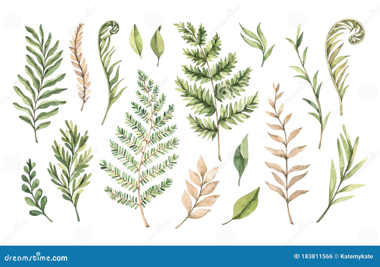 botanical watercolor clipart. set of green leaves, fern, herbs and branches. s. floral  s. perfect