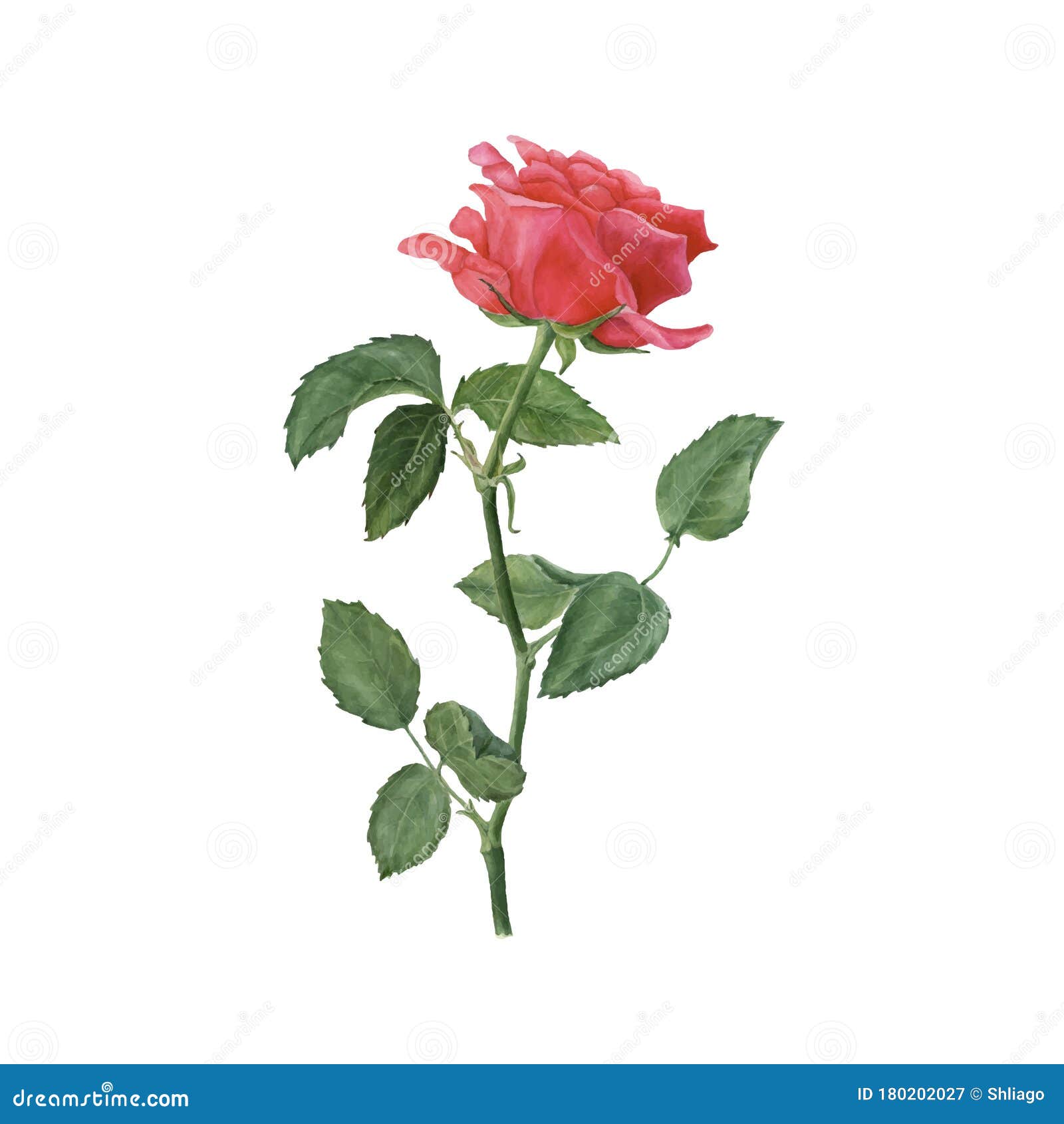 10,736 Flower Red Vector Stock Photos - Free & Royalty-Free Stock Photos  from Dreamstime