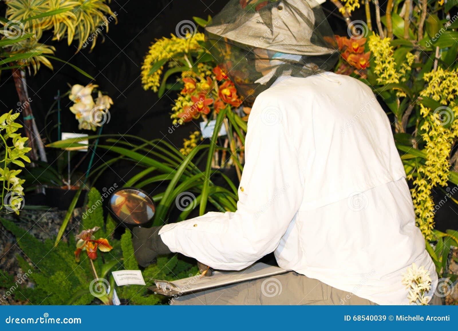 13,266 Botaniker Fotos Kostenlose und RoyaltyFree StockFotos von