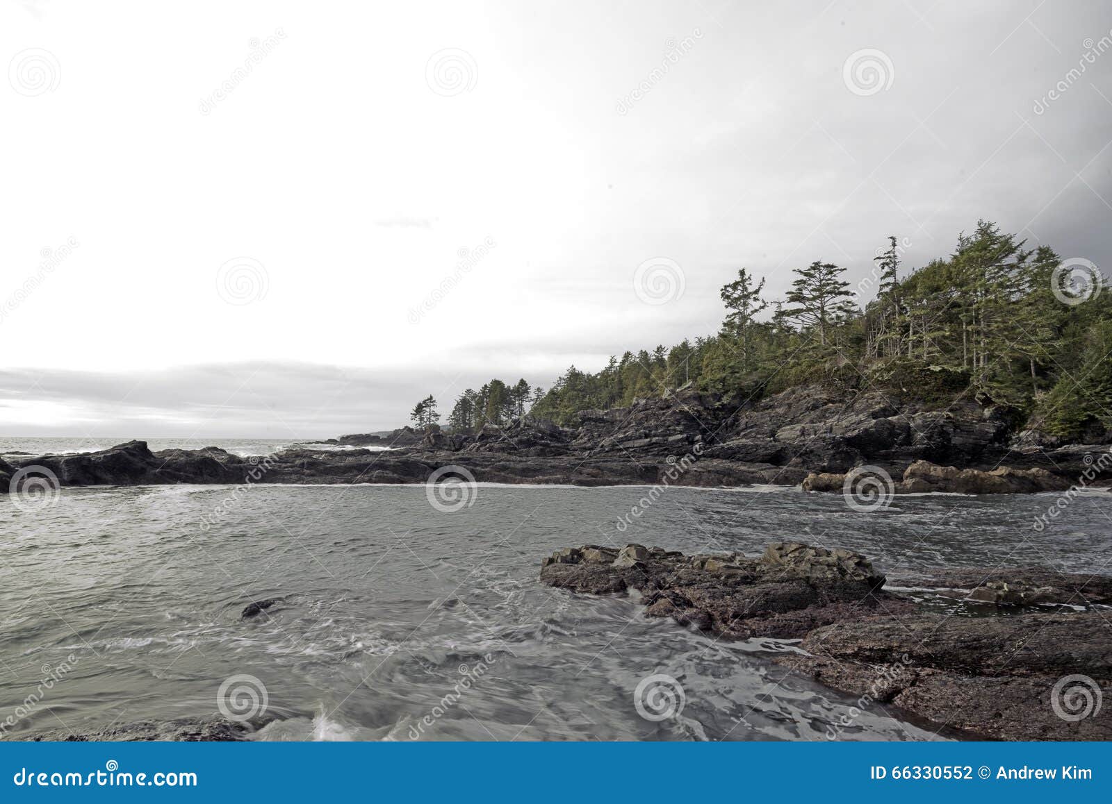 Botanisch Strand in Haven Renfrew Het Eiland Van Vancouver Stock Foto ...