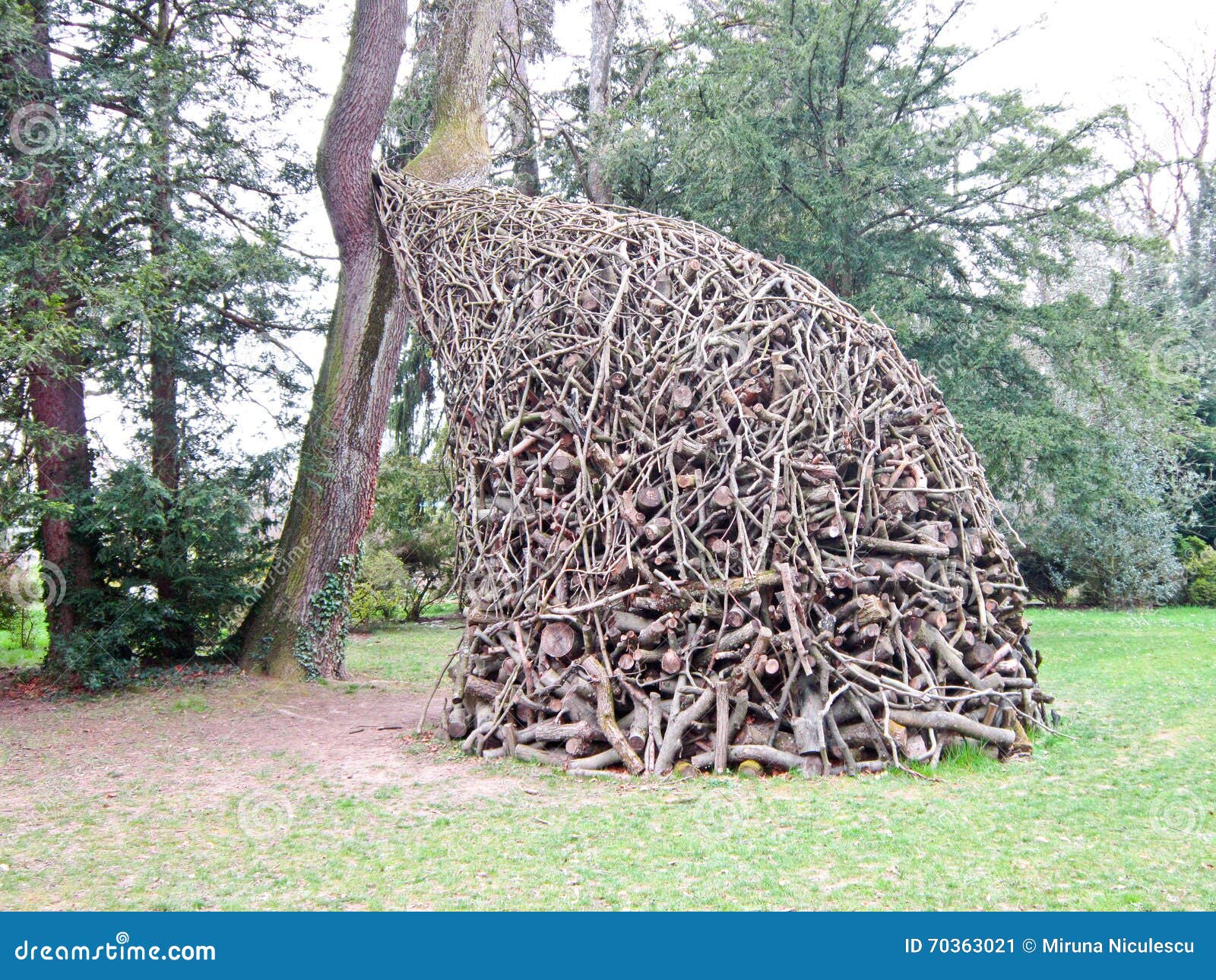 Botanischer Garten Genf Die Schweiz Redaktionelles Foto Bild Von Anordnung Garten 70363021