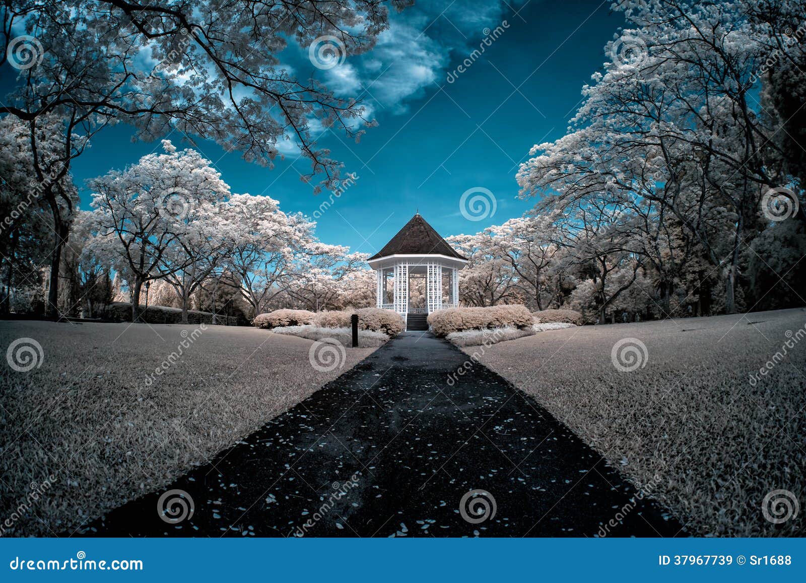 Botanischer Garten In Singapur Stockbild Bild von