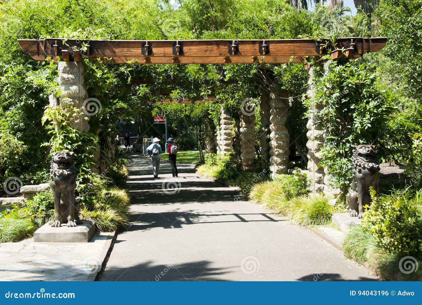 Botanischer Garten Sydney Australien Redaktionelles Foto Bild von