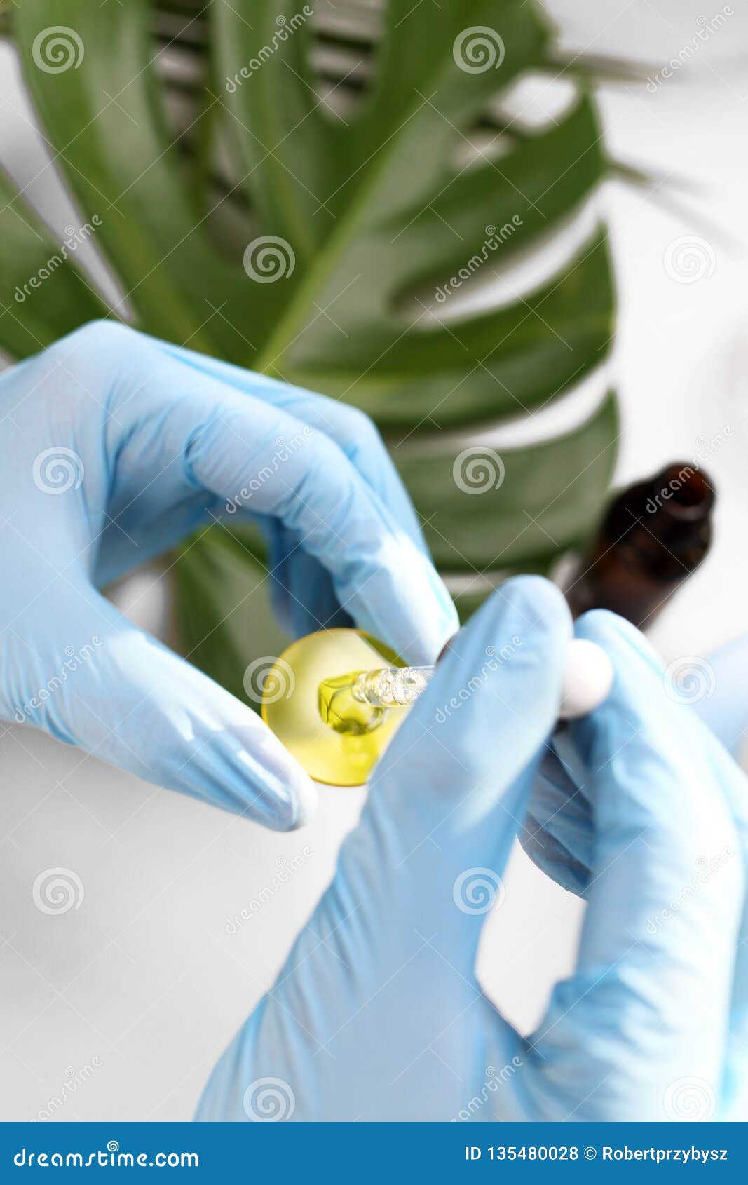 Genetic Crossword Of Plants Stock Photography CartoonDealer com Genetic Crossword Of Plants Stock Photography CartoonDealer com