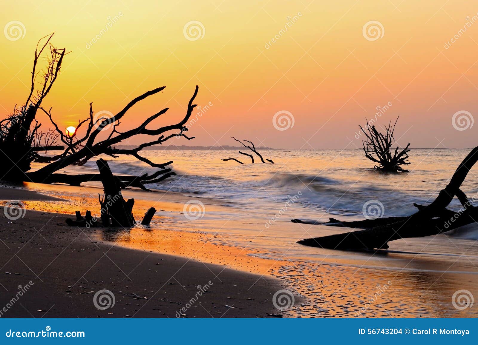 botany bay boneyard beach, edisto island