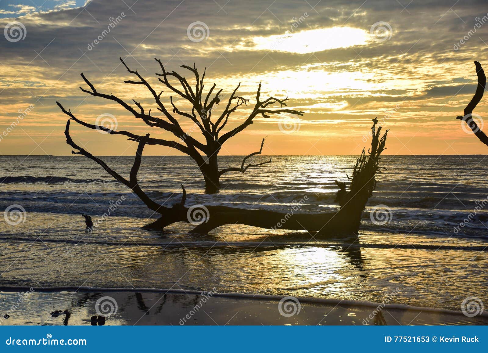 botany bay sunrise