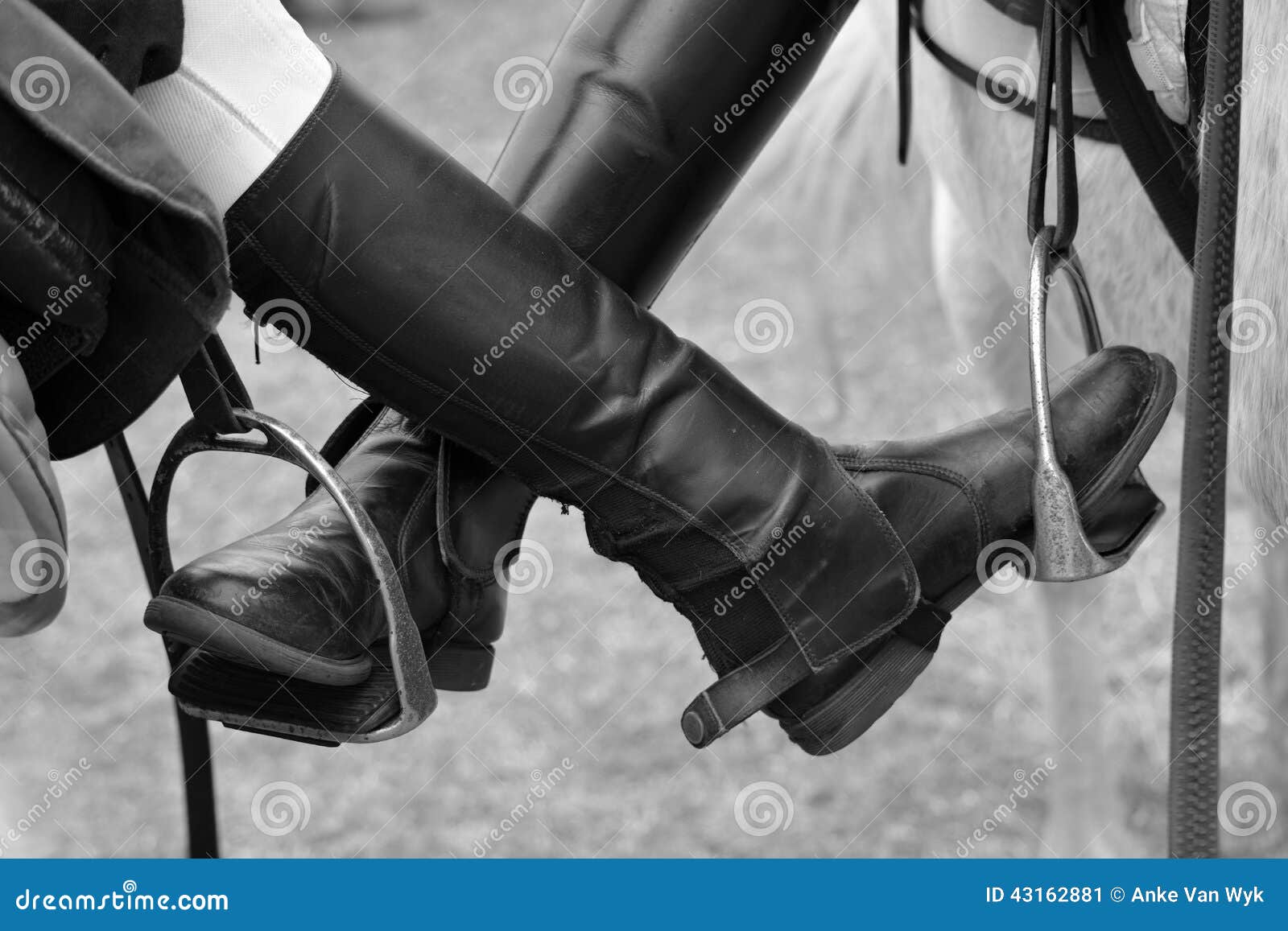 Cavalo De Equitação De Duas Meninas No Verão Em Ada Bojana, Monte Foto de  Stock - Imagem de meninas, povos: 76639270