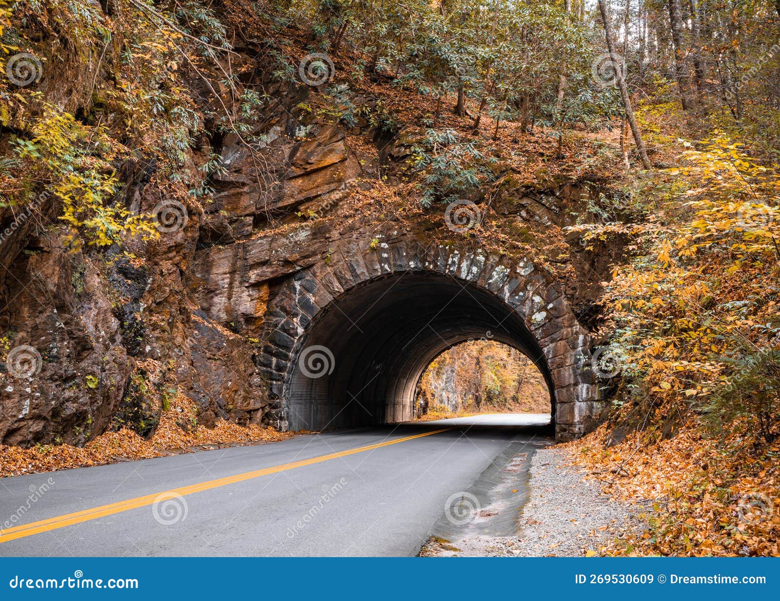 bote mountain tunnel through great smoky mountain national park in tennessee