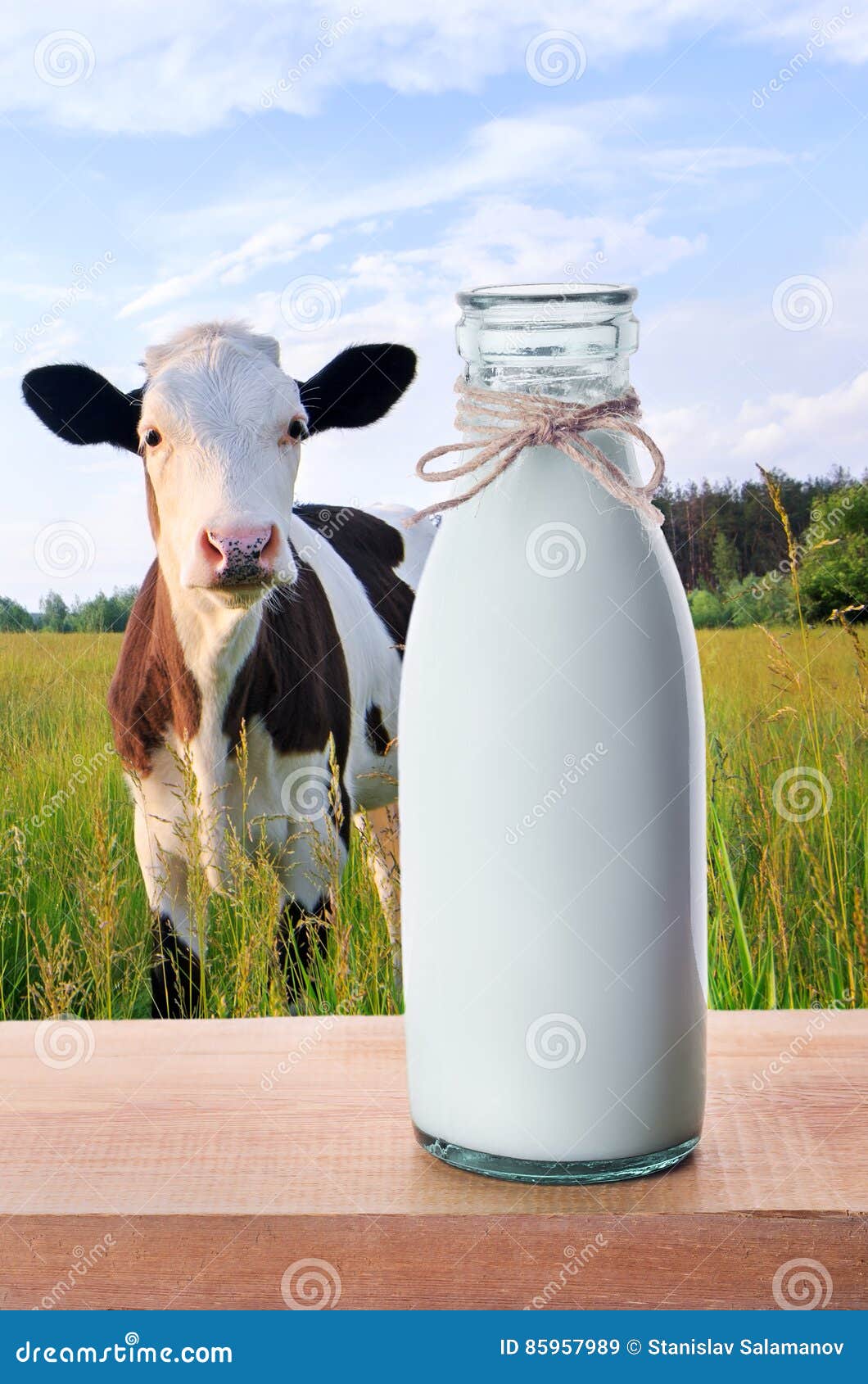 Бутылка молока буренка раньше вмещала. Корова молоко. Молоко домашнее. Молоко коровье деревенское. Корова с бутылкой молока.