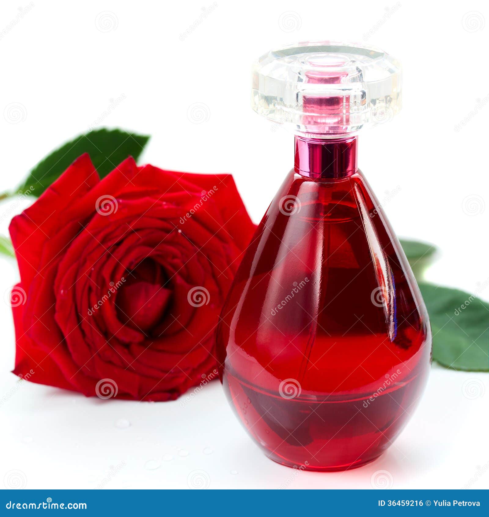 Botella De Perfume Y Una Rosa Roja Foto de archivo - Imagen de fragancia: 36459216