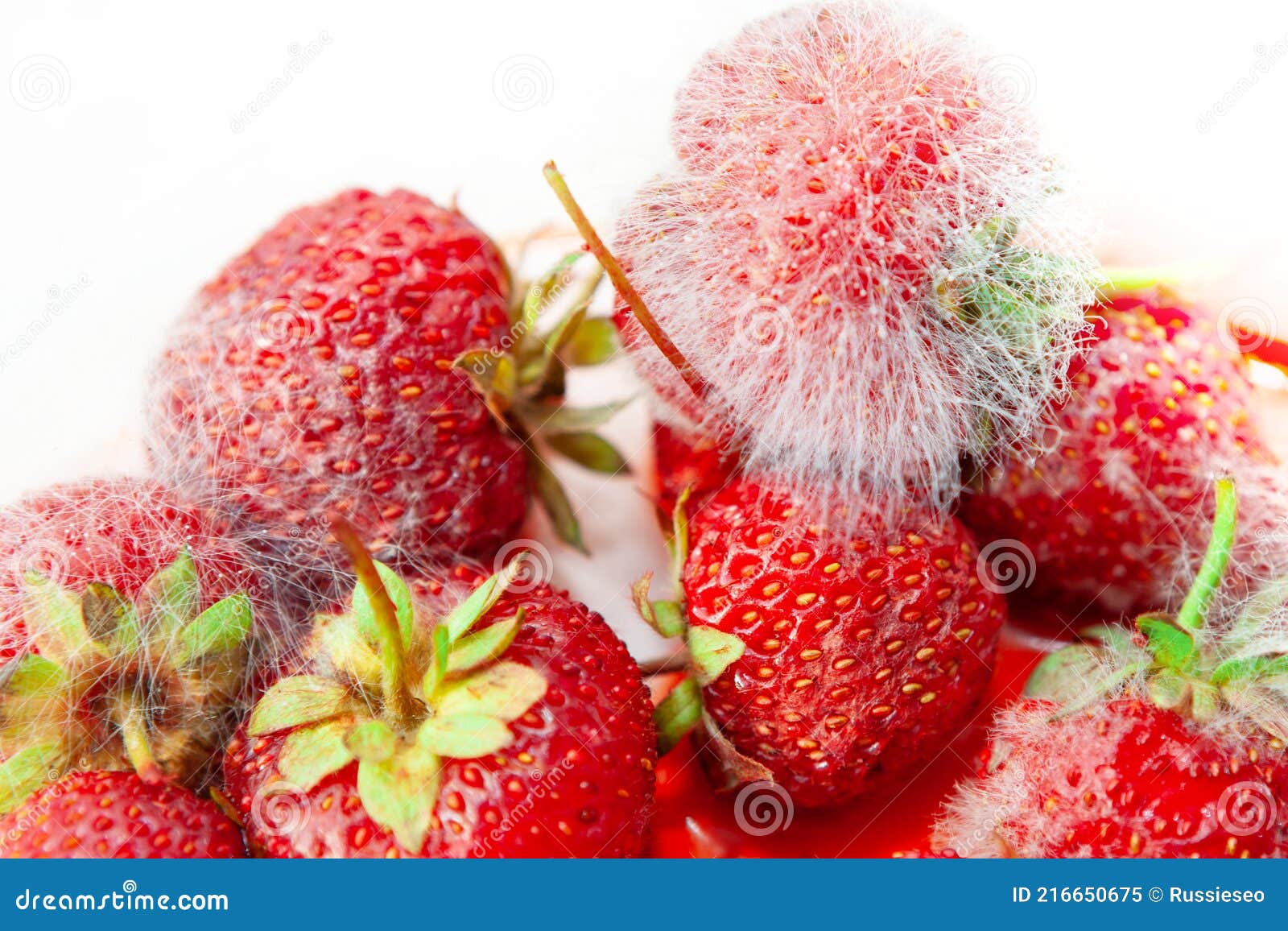 Strawberry with mold stock image. Image of natural, dessert - 216650675