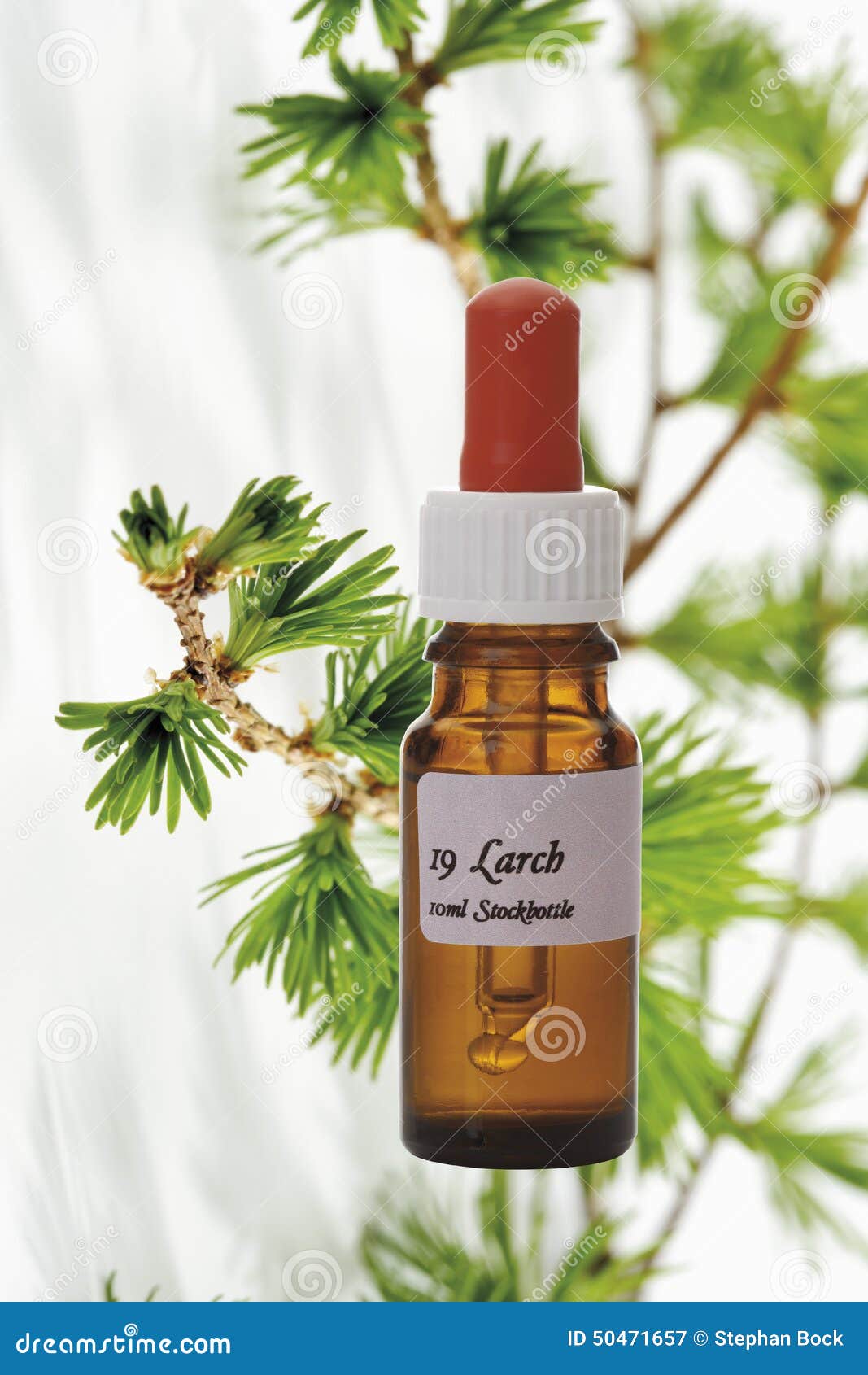 bottle with bach flower stock remedy, larch (larix)