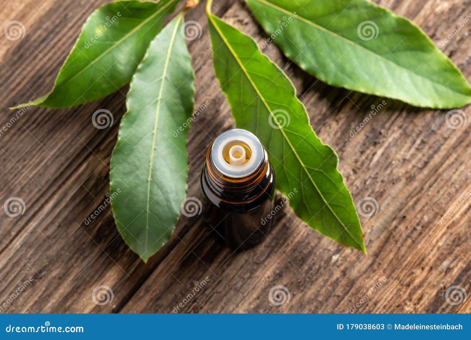 A Bottle of Bay Leaf Essential Oil with Fresh Bay Leaves Stock Image Image of aromatic, fresh