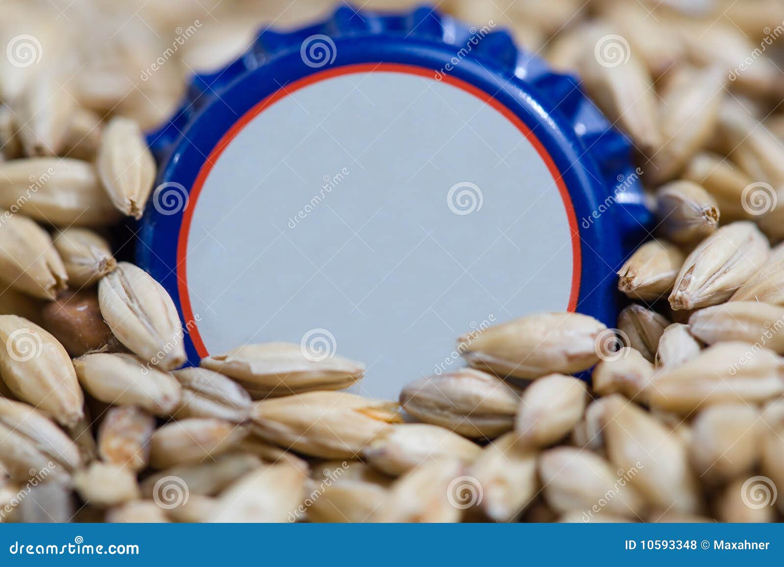 Bottle cap in hops stock photo. Image of beverage, merchandise 10593348