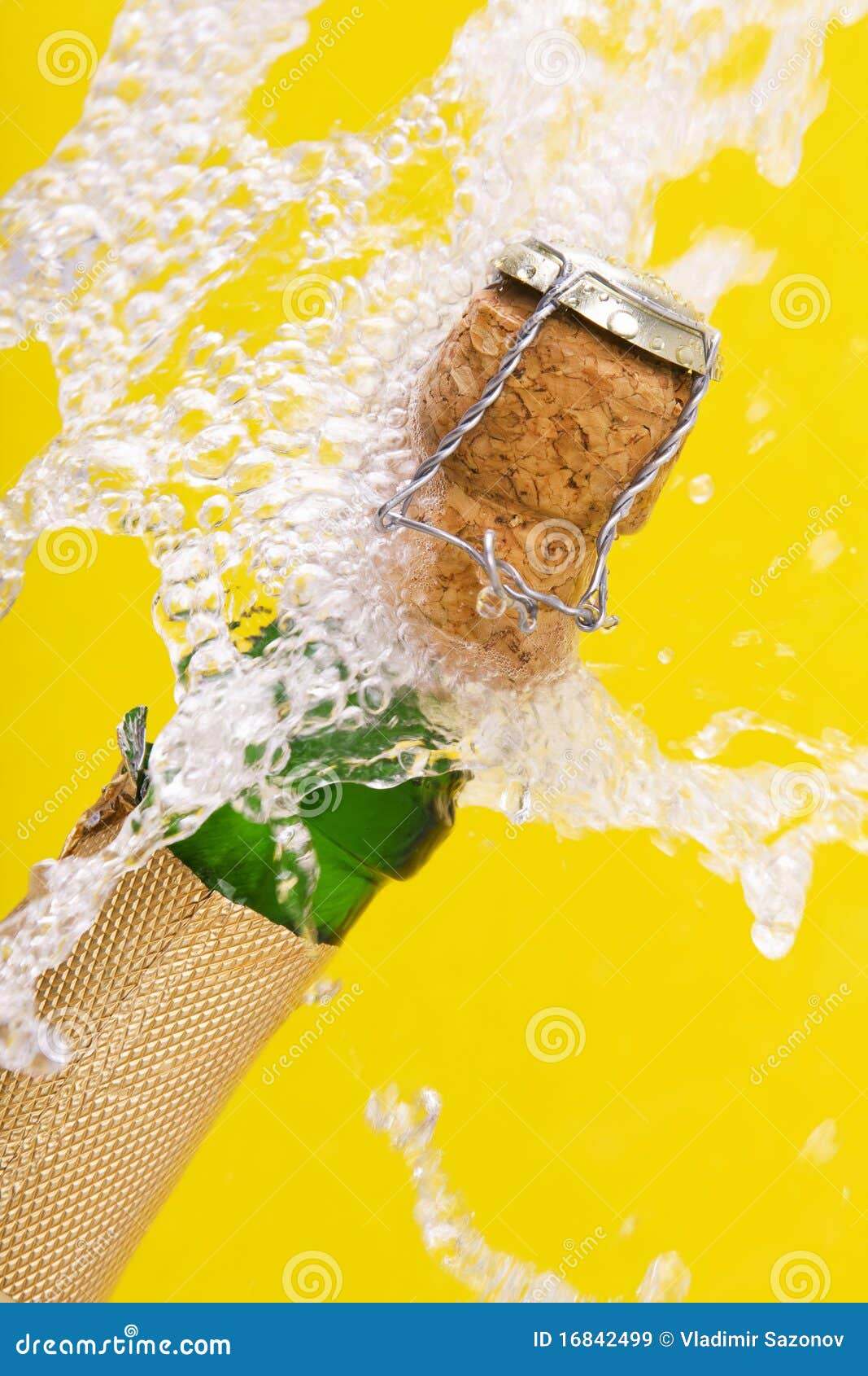 Bottle of Champagne, Cork and Splashing Stock Image Image of cork