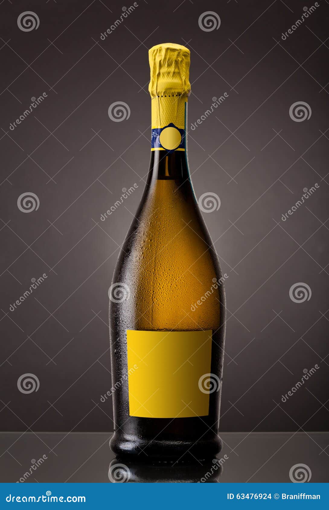 Bottle of Chilled Unopened Champagne Stock Photo Image of label
