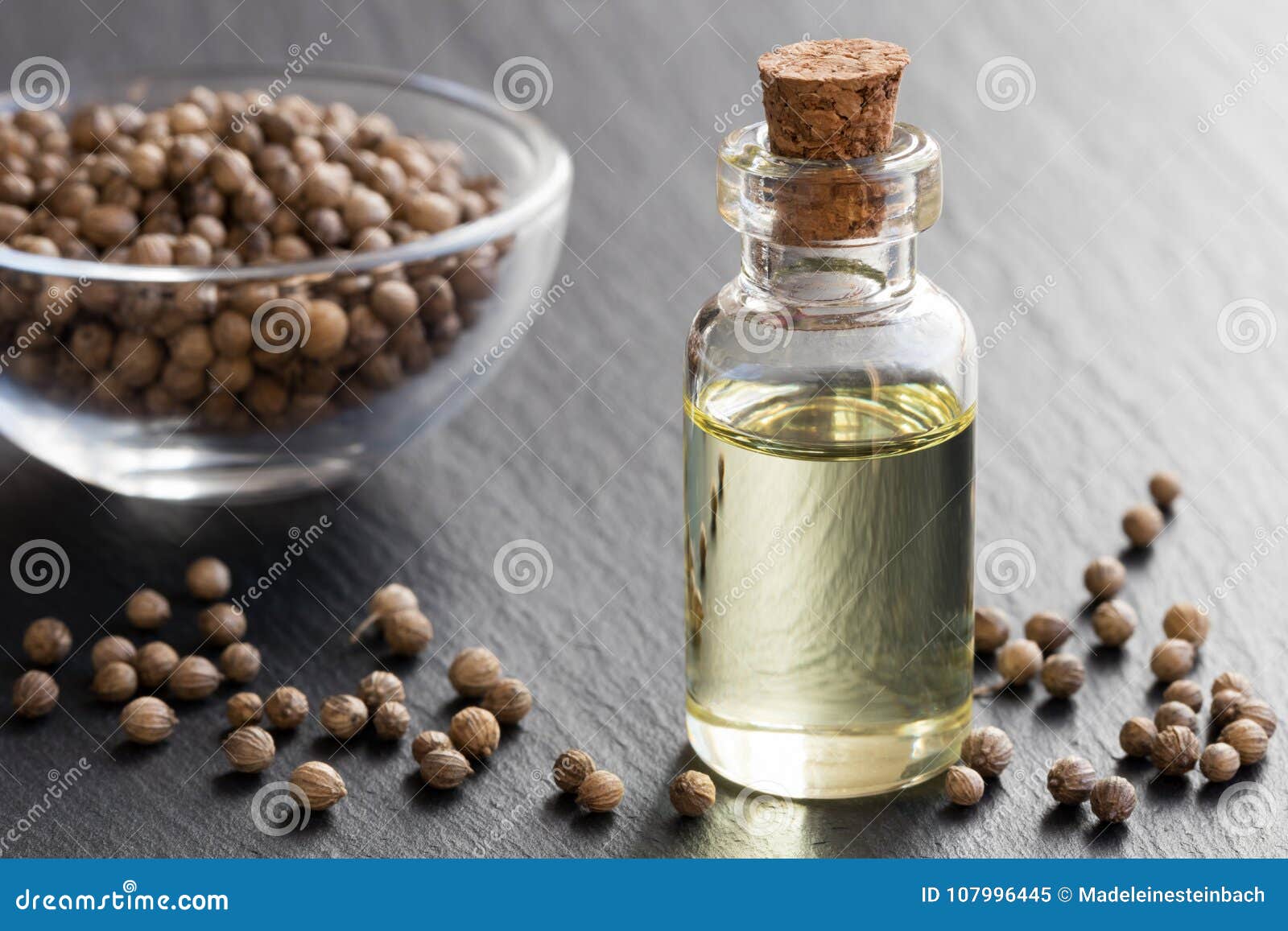 A Bottle of Coriander Essential Oil with Coriander Seeds Stock Image