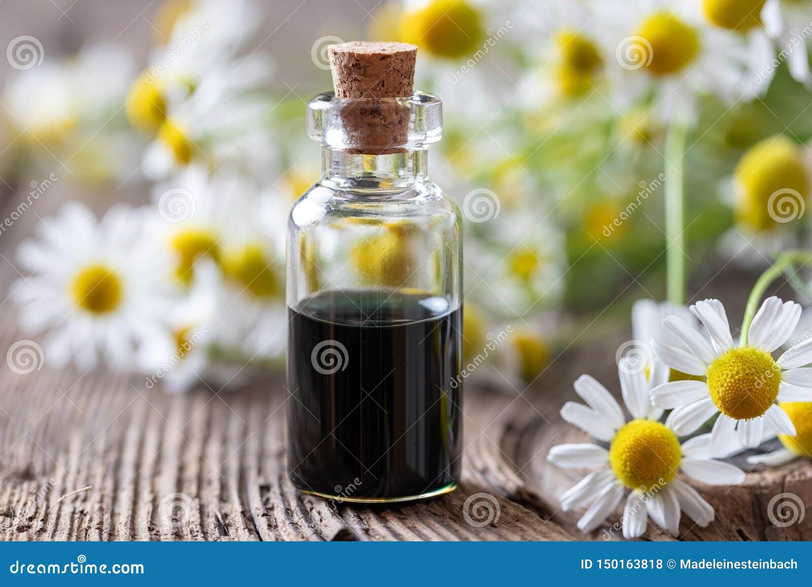 A Bottle Of Dark Blue Chamomile Essential Oil And Flowers Stock Photo - Image of chamomile, aromatic: 150163818 A Bottle Of Dark Blue Chamomile Essential Oil And Flowers Stock Photo - Image of chamomile, aromatic: 150163818