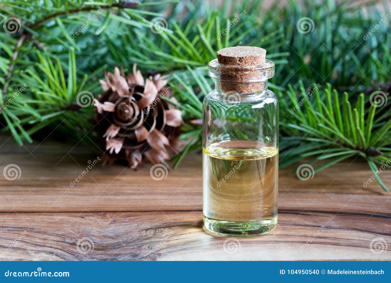 a bottle of douglas fir essential oil with fresh douglas fir bra