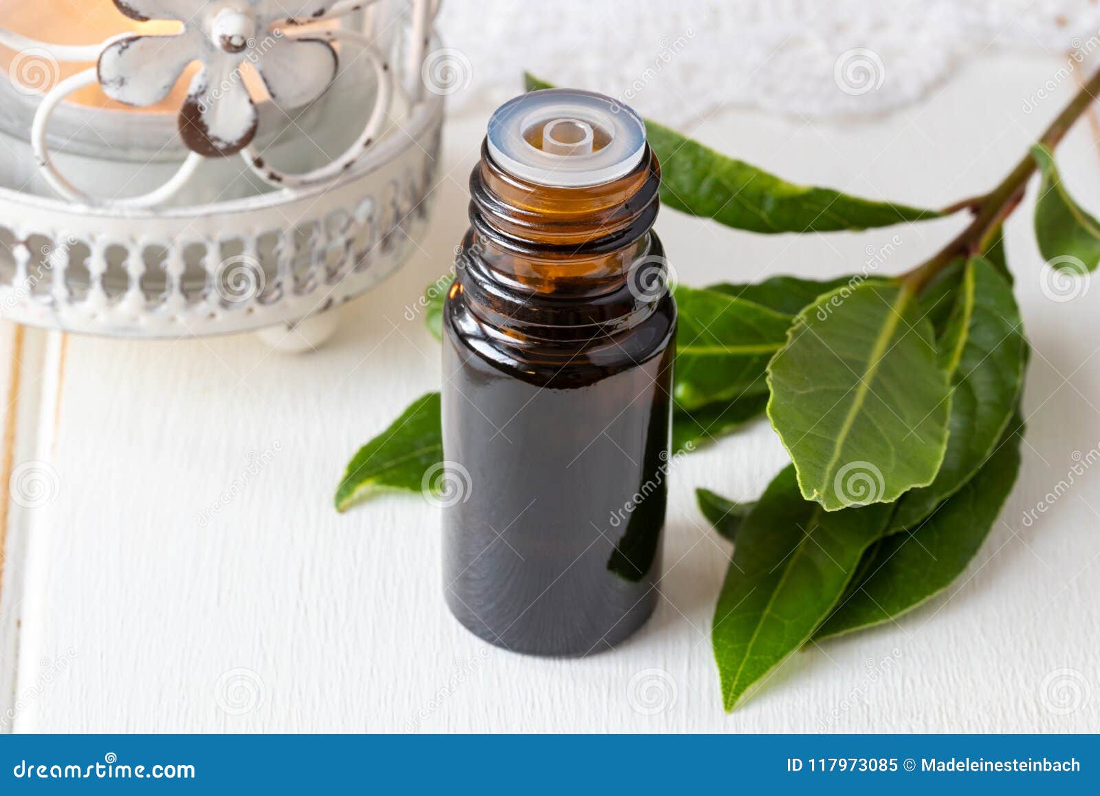 A Bottle of Essential Oil with Fresh Bay Leaves Stock Image Image of healthy, bottle 117973085