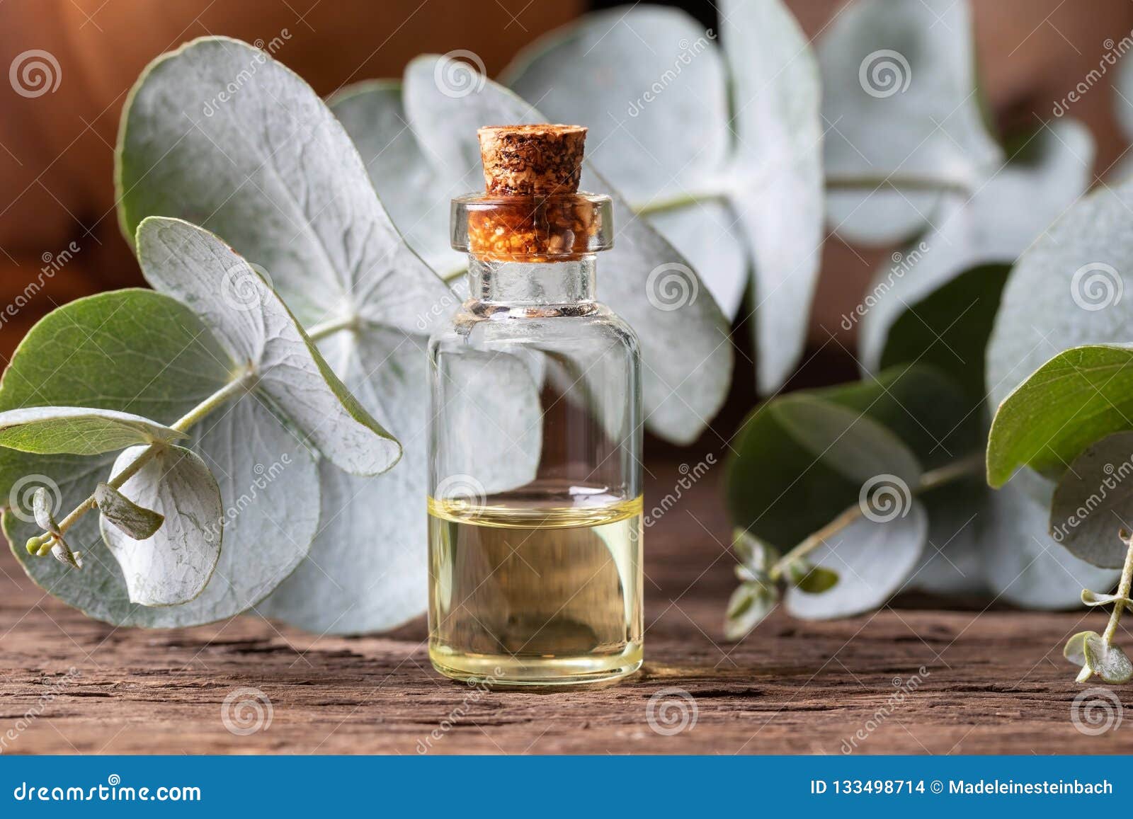 A Bottle of Essential Oil with Fresh Eucalyptus Leaves Stock Photo ...