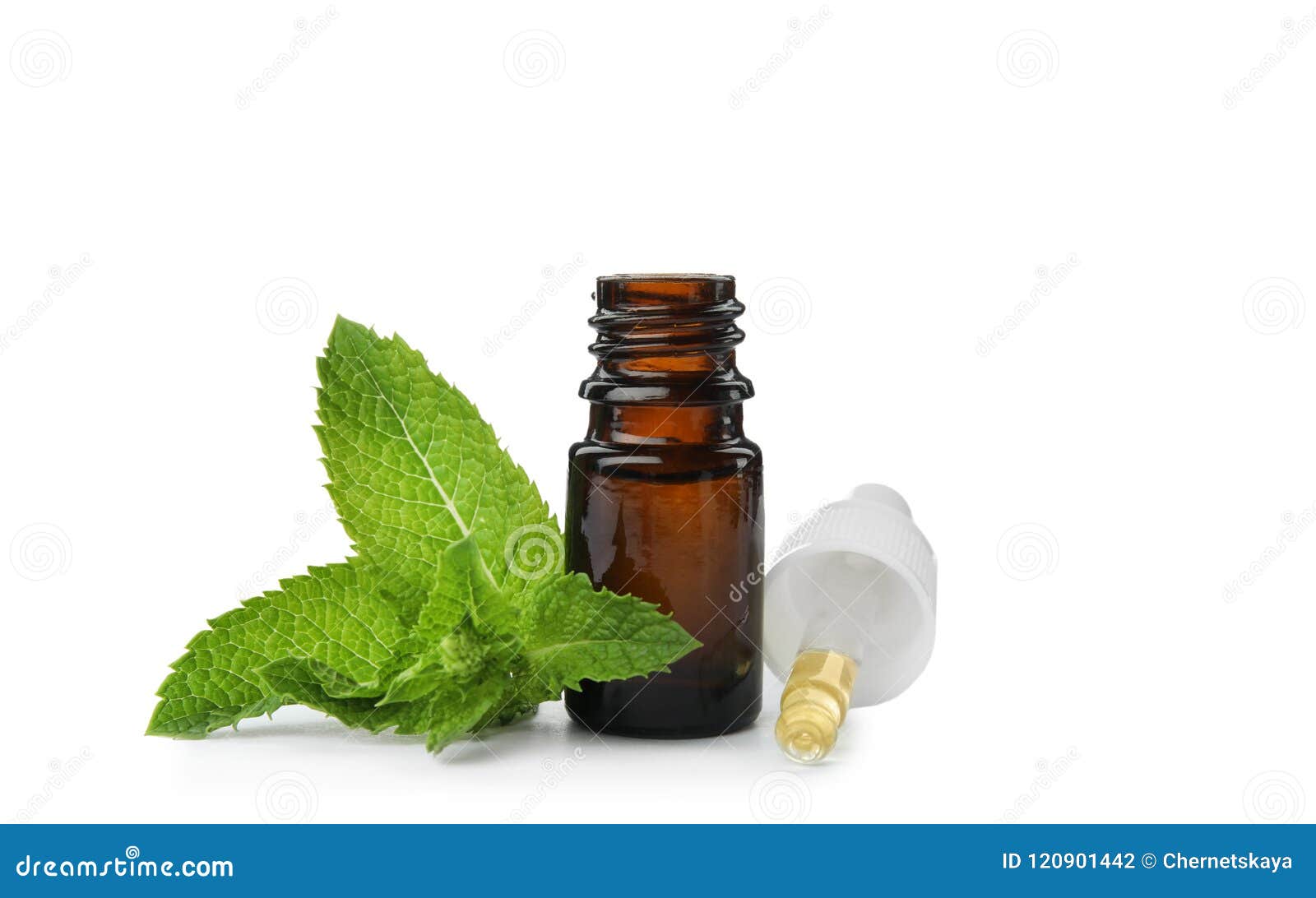 Bottle of Essential Oil and Mint Stock Photo Image of herbal