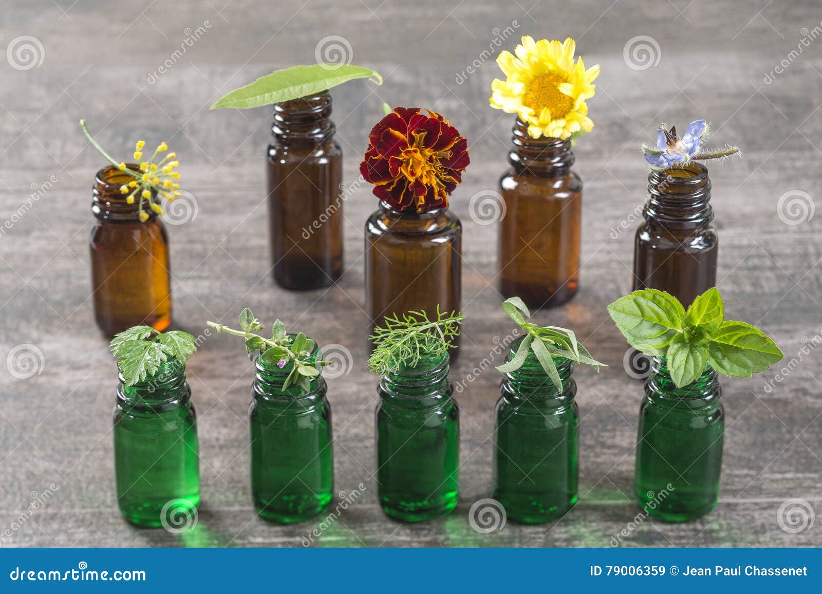 Bottle of Essential Oil with Selective Medicinal Herbs and Plants Stock