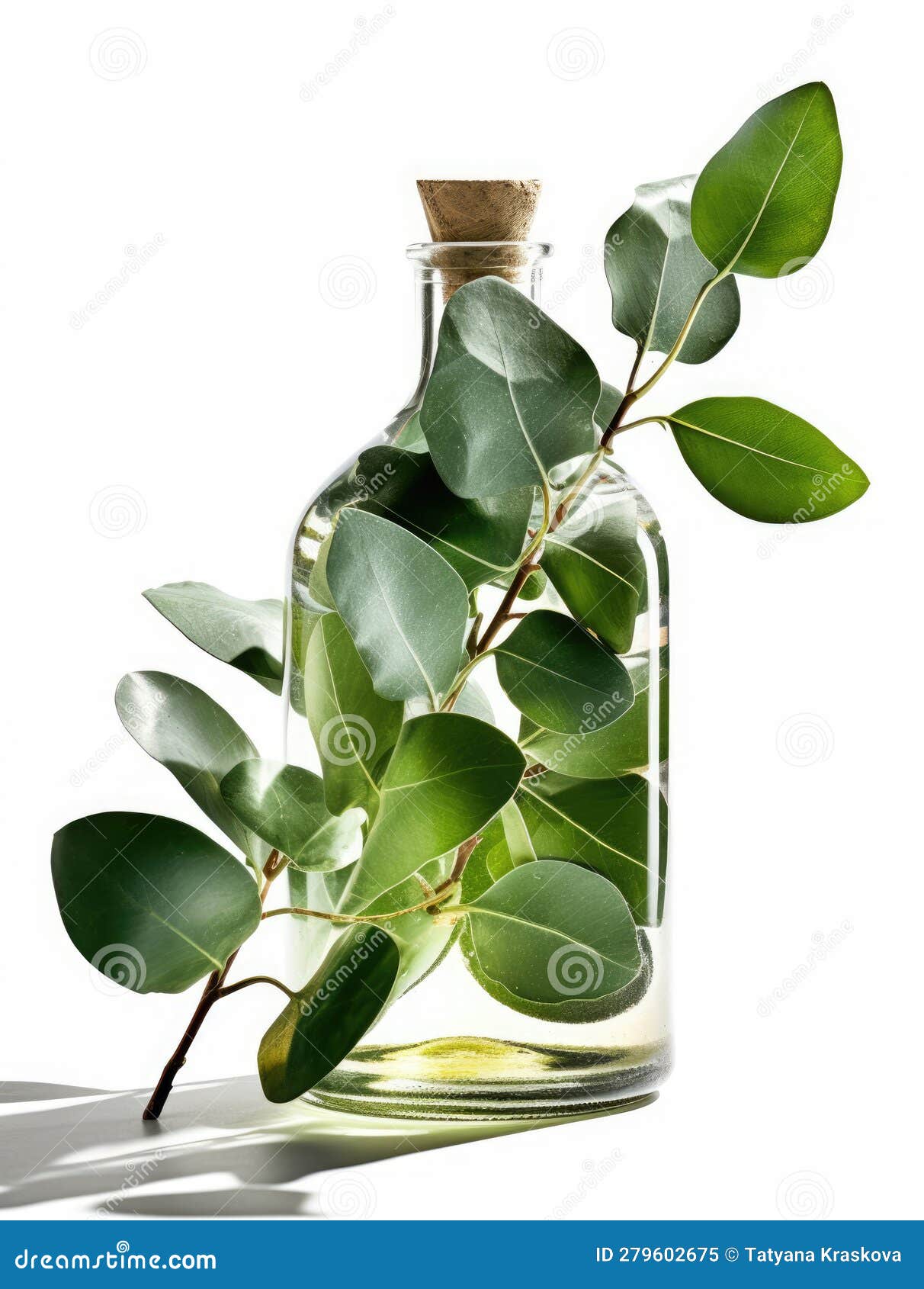 Bottle of eucalyptus oil stock illustration. Illustration of green