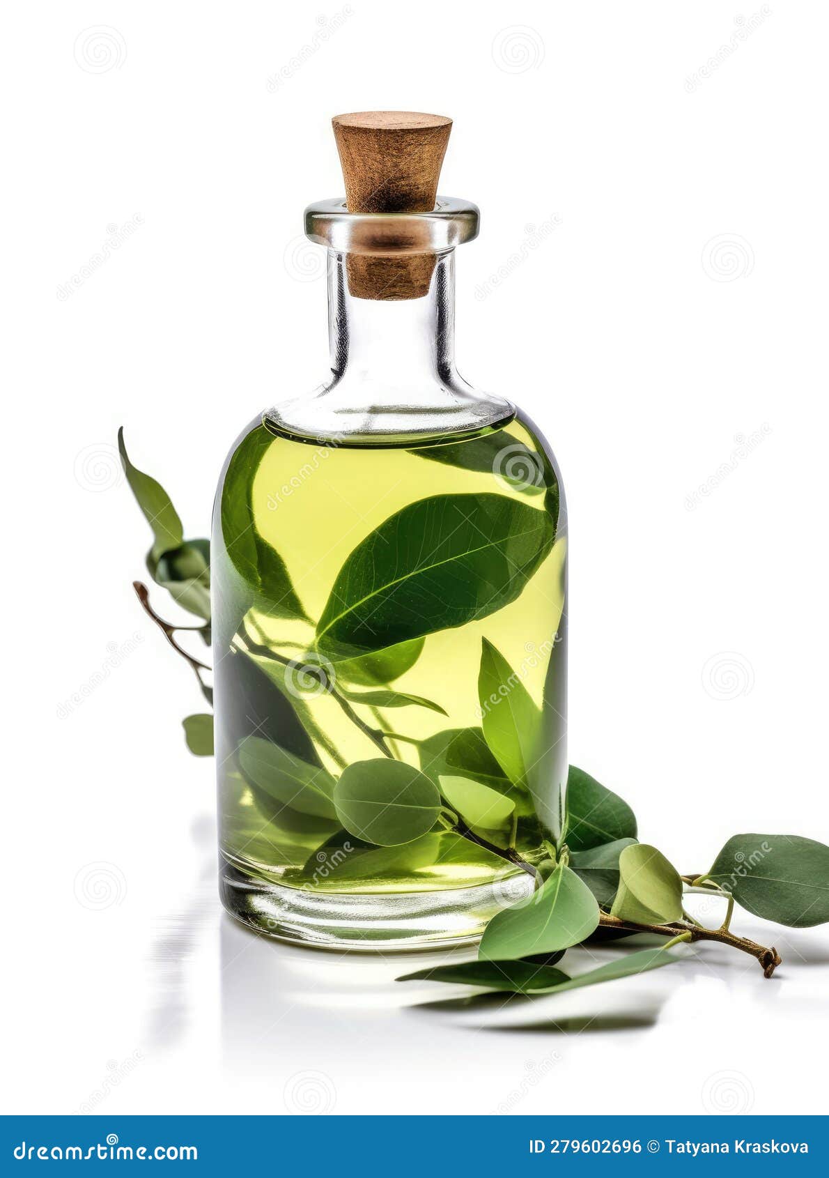 Bottle of eucalyptus oil stock illustration. Illustration of bottle