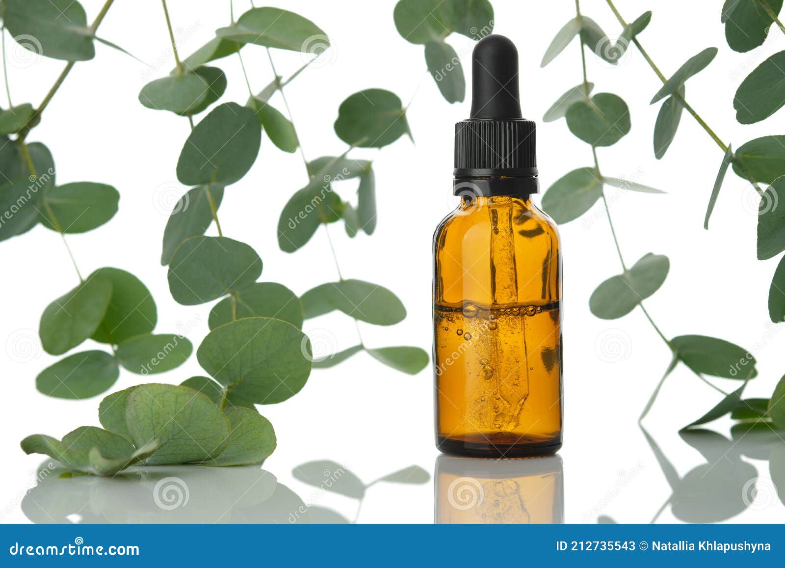 Bottle of Eucalyptus Oil and Eucalyptus Twigs on White Stock Image