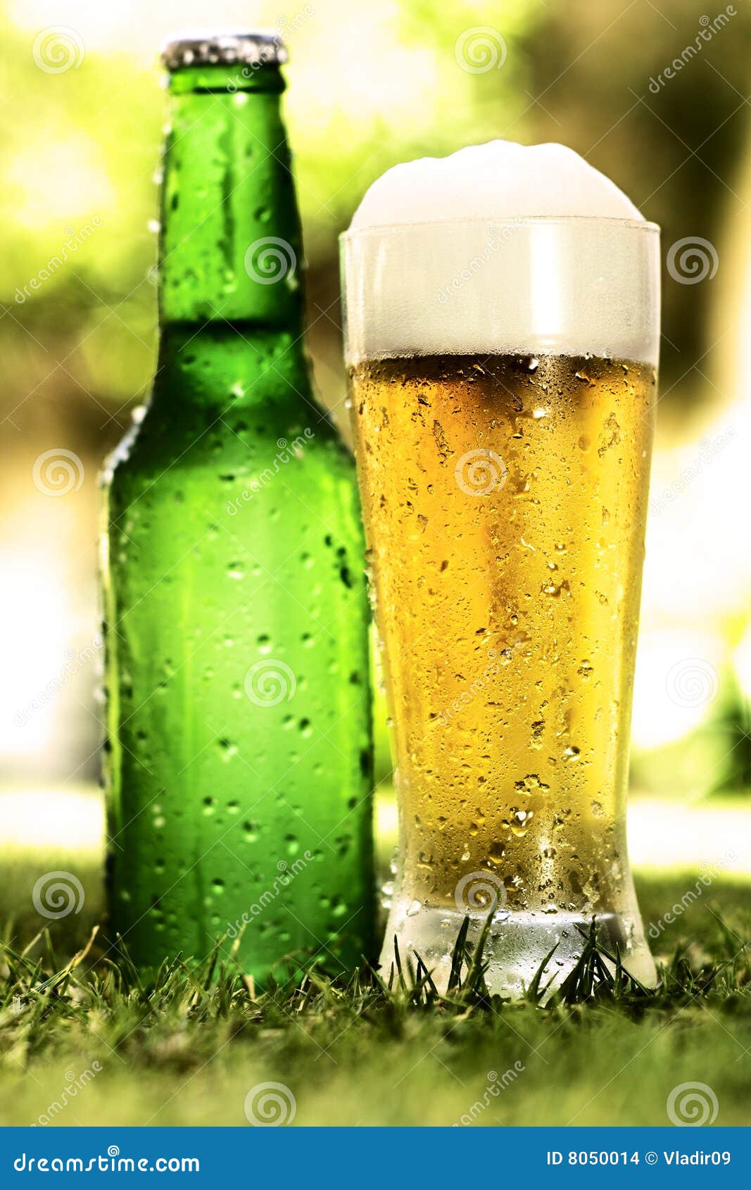 Bottle and Glass of Beer Outside on the Grass Stock Photo Image of