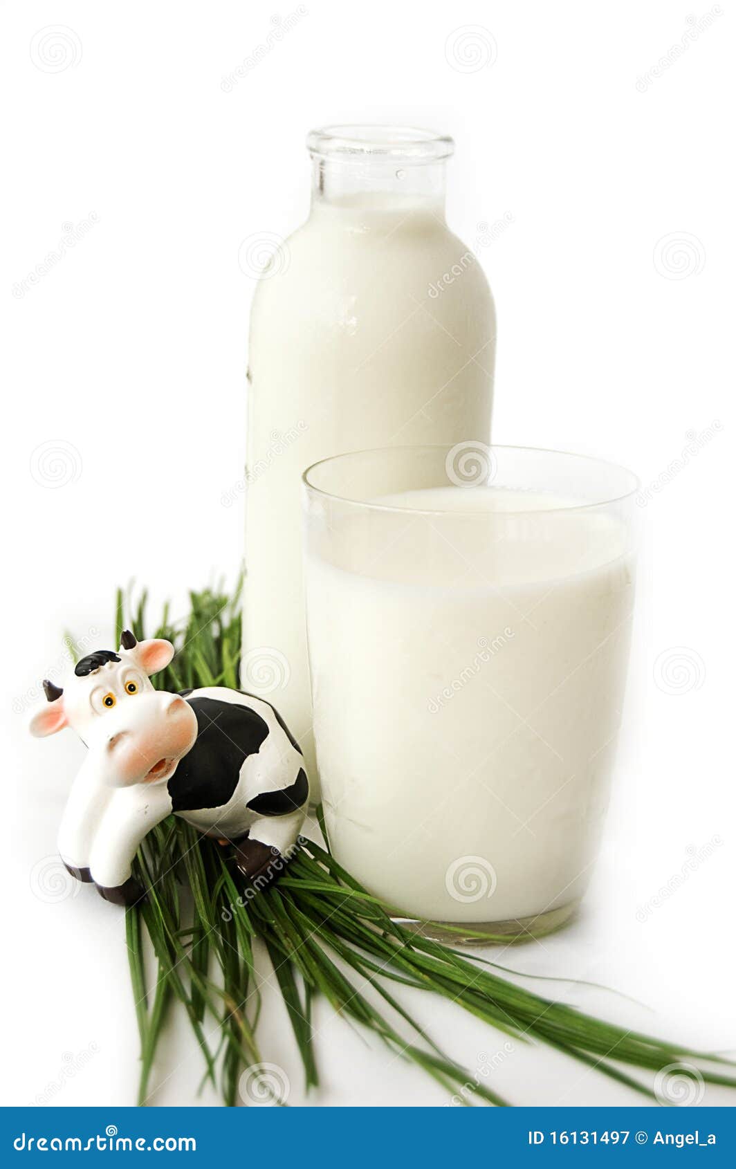 Bottle and Glass of Milk with Toy Cow Stock Image Image of glass