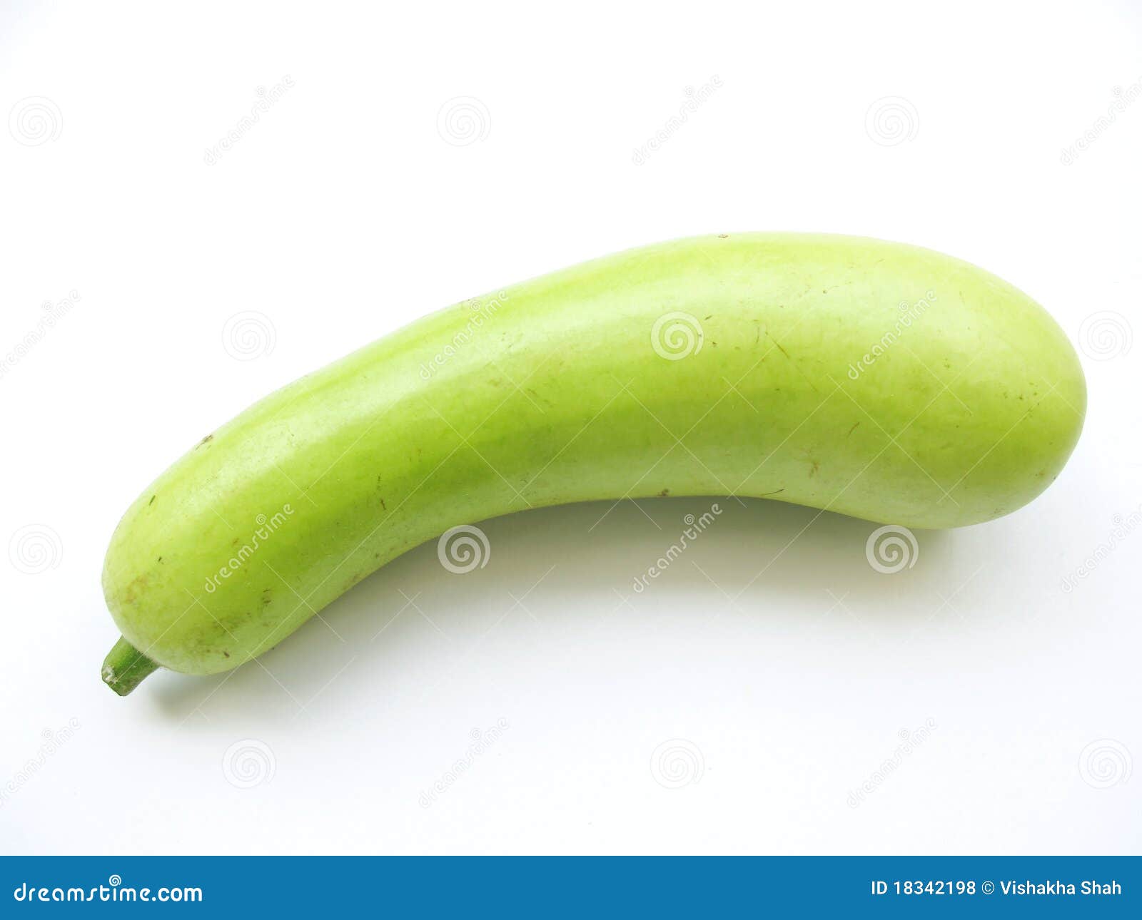 3 287 Bottle Gourd Photos Free Royalty Free Stock Photos From Dreamstime 3 287 Bottle Gourd Photos Free Royalty Free Stock Photos From Dreamstime