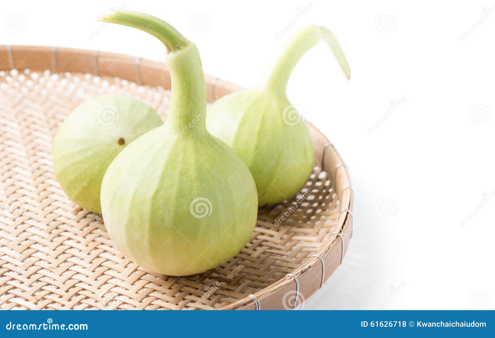 Bottle Gourd Fruit in Basket Isolated Stock Photo Image of stem