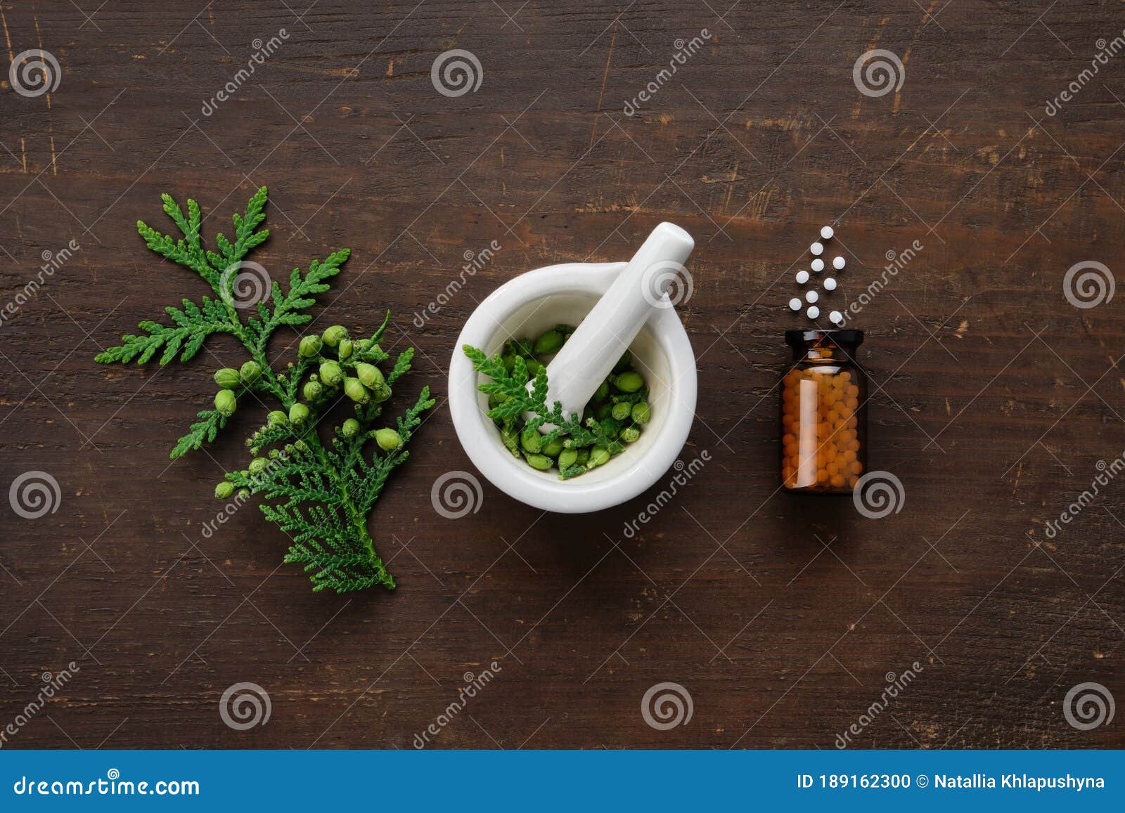 bottle of homeopathic globules. thuja occidentalis twigs and mortar. homeopathy medicine concept.