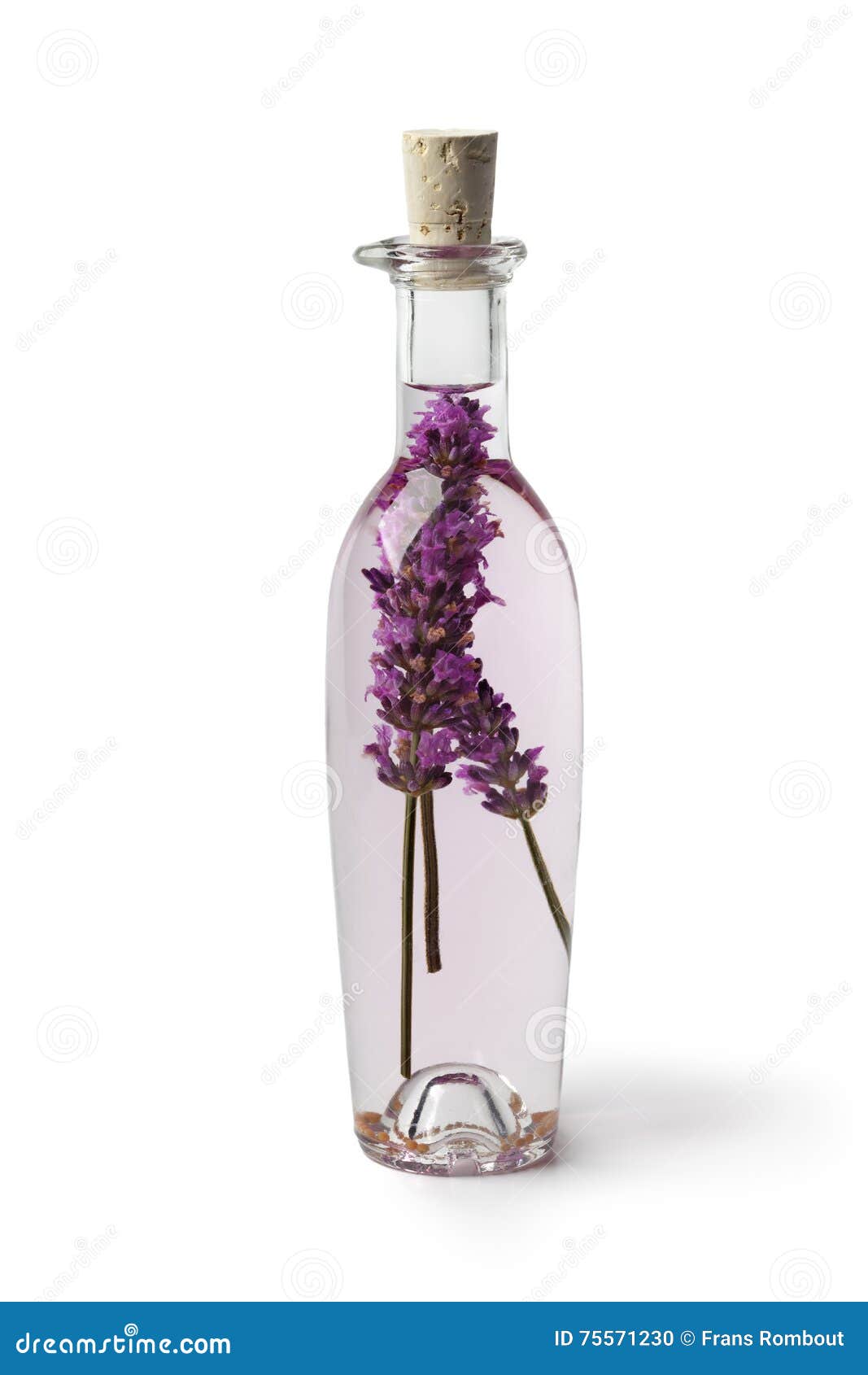 Bottle with Lavender Vinegar Stock Photo Image of background
