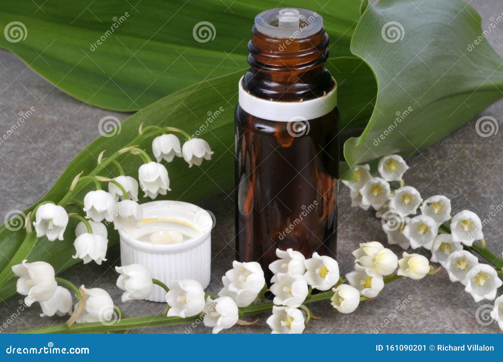 Bottle of Lily of the Valley Essential Oil Stock Image - Image of