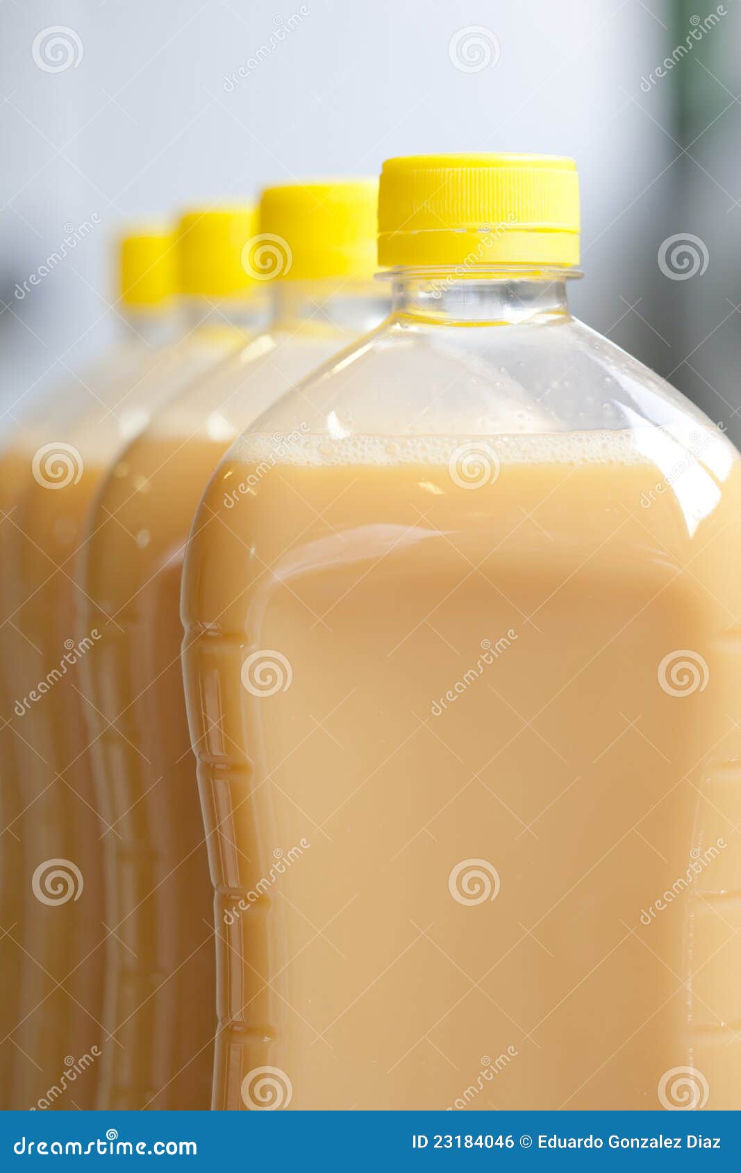 Bottle of liquid egg stock photo. Image of tortillas 23184046